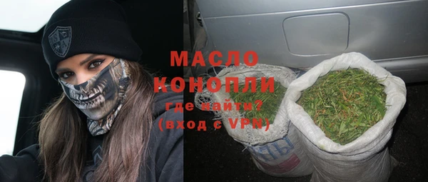 мдпв Бородино