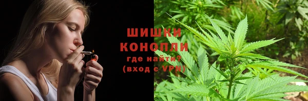 мдпв Бородино