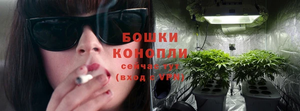 бошки Бронницы