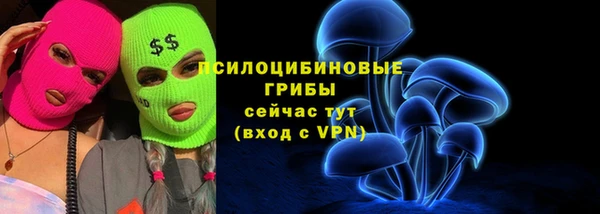 дурь Бугульма