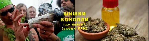 мдпв Бородино