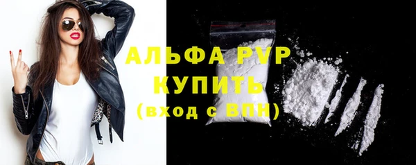 мдпв Бородино