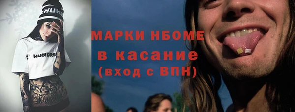 мдпв Бородино