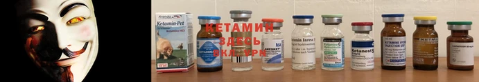 бошки Бронницы