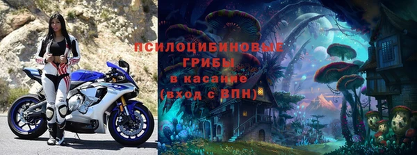бошки Бронницы