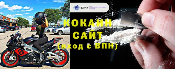 бошки Бронницы