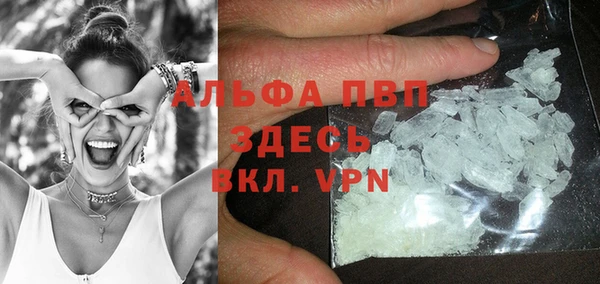 мдпв Бородино
