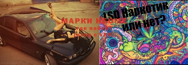 бошки Бронницы