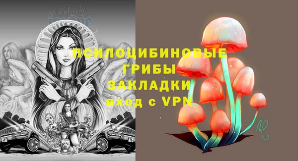мдпв Бородино