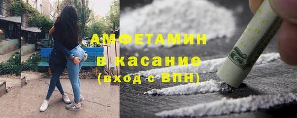 мдпв Бородино