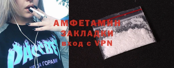 бошки Бронницы