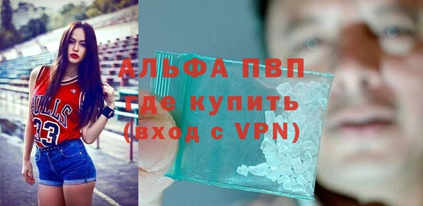 мдпв Бородино
